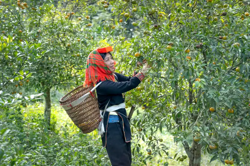 射频模块选型指南:通信设备制造中的关键参数与匹配方案